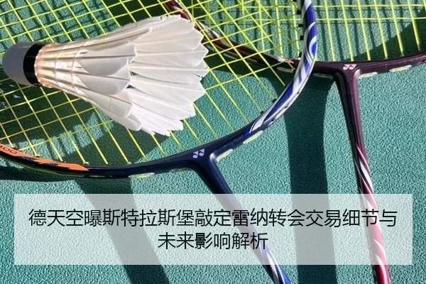 德天空曝斯特拉斯堡敲定雷纳转会交易细节与未来影响解析